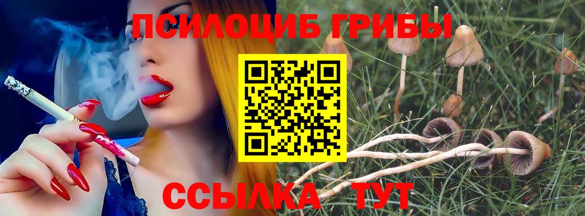Глазов  Галлюциногенные грибы Cubensis  Вход с VPN 
